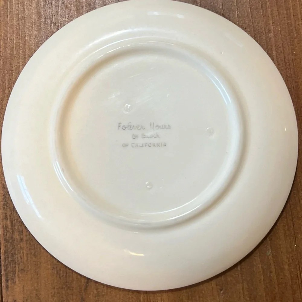 5 Vintage Brock of California Forever Yours Side/Salad MCM Plates 6 3/4”